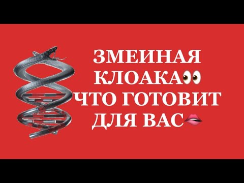 Видео: ❗️❗️ЗМЕИНАЯ КЛОАКА ❗️ЧТО ГОТОВИТ ДЛЯ ВАС⁉️❗️😱😱😱#таро#враги  #tarot    #strunatarot