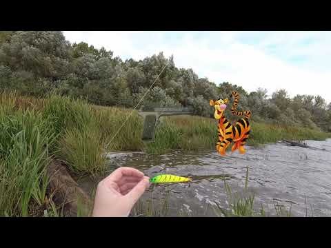 Видео: Спиннинг на Оке. Черта Нижнего Новгорода. Трудовая рыбалка