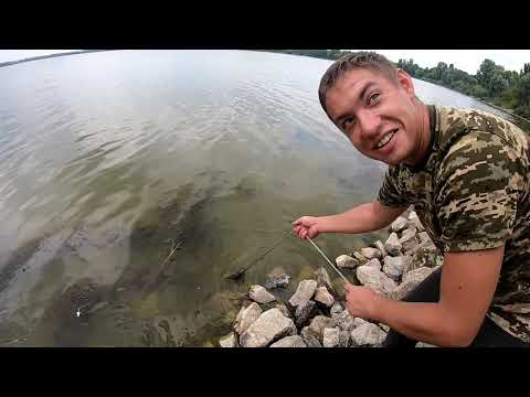 Видео: ОБЗОР ПЛАТНИКОВ КИЕВА И КИЕВСКОЙ ОБЛАСТИ. №1. ЯГОТИН.