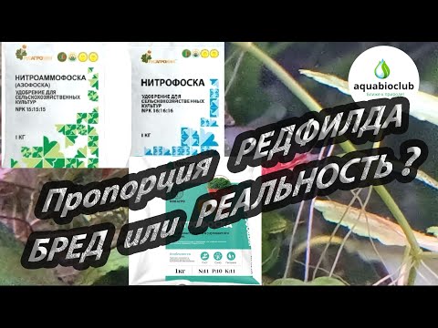 Видео: Пропорция Редфилда в аквариумистике - бред или реальность? Собственный опыт и аргументы.