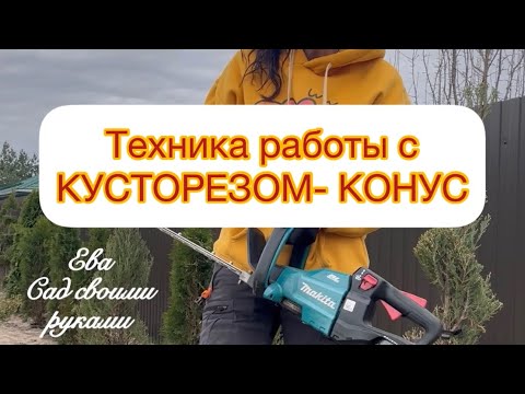 Видео: ‼️ТЕХНИКА РАБОТЫ С КУСТОРЕЗОМ - ТУЯ КОНУС‼️