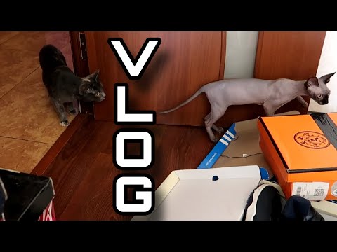 Видео: Покупки для дома и большой разбор обуви //Angelofreniya