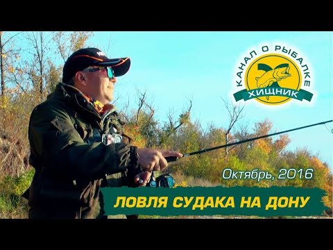 Видео: Ловля судака на Дону. Октябрь 2016.