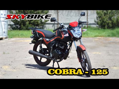 Видео: Новый китайский дорожный мотоцикл QINGQI COBRA 125