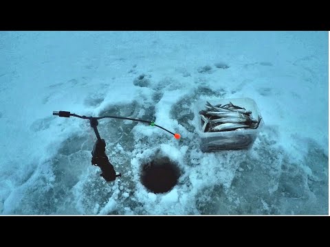 Видео: Ловля корюшки 2021.  Сход налима.  о.Песчаный,  оз. Имандра