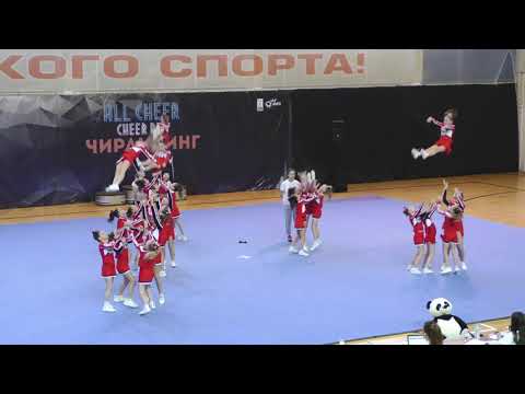 Видео: Акулы&Панды