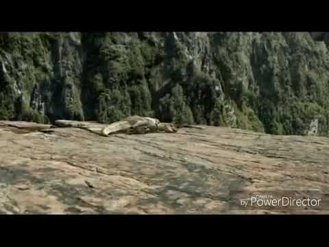 Видео: Клип тарбозавр кагда мы были молодыми