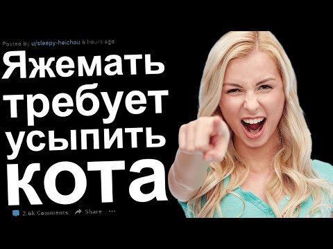 Видео: ЯЖЕМАТЬ ТРЕБУЕТ УСЫПИТЬ КОТА. ЯЖЕМАТЬ ИСТОРИИ С РЕДДИТ