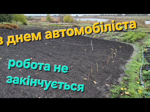 Видео: Ви вже вкинули озимі культури?   