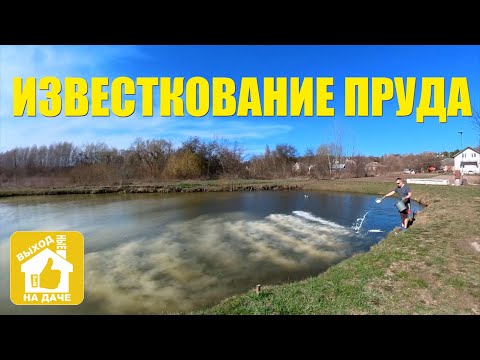 Видео: Известкование пруда 🏝️