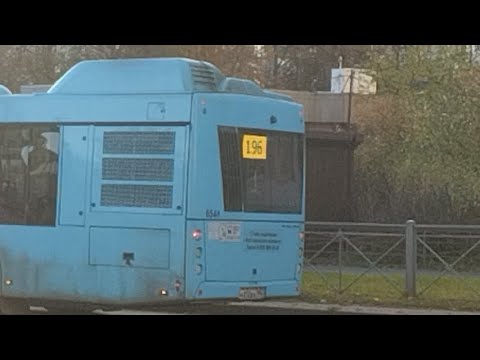 Видео: СБОРНИК АВТОБУСОВ ИЗ КОЛПИНО