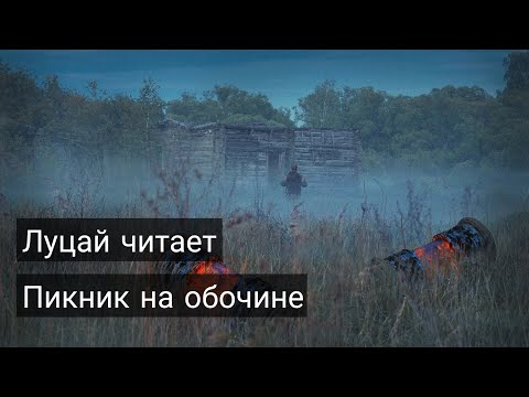 Видео: Луцай читает «Пикник на обочине»