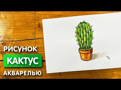 Видео: Как нарисовать кактус карандашом и акварелью | Рисунок поэтапно и легко для детей