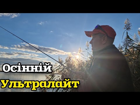 Видео: Незапланована Риболовля. Осінні Окуня Порадували!