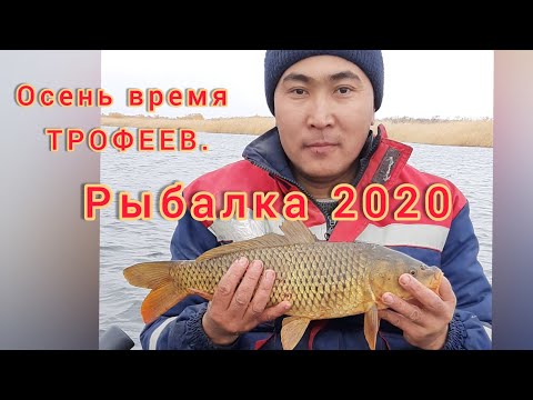 Видео: #Рыбалка #кемпинг #fishing "ЖИДЕЛИ"ДИКАЯ ОСЕННЯЯ РЫБАЛКА 2020.