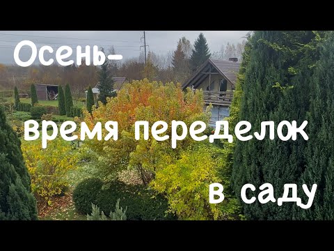 Видео: 157. Выкапываем взрослые растения и сажаем их в нужные места. Обзор сада и переделок в нём.