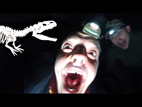 Видео: VLOG ● НАШЛИ КОСТИ ПТЕРОДАКТИЛЯ | ГОСТИ ВЛОГА СОШЛИ С УМА