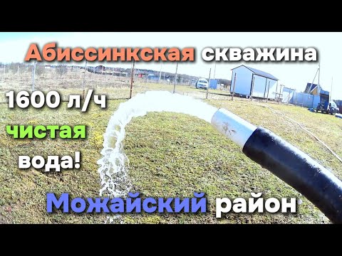 Видео: Абиссинка с чистой водой в Можайском районе!