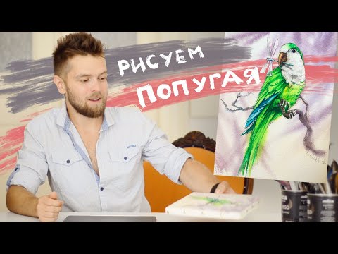 Видео: Рисуем попугая акварелью. Запись прямого эфира.
