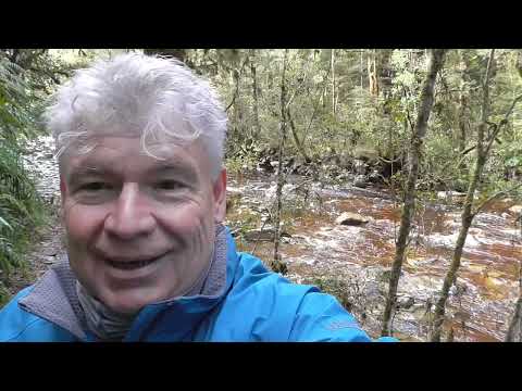 Видео: 🏆 Part 5 . Slab Hut Creek, Reefton, New Zealand, Добыча золота.