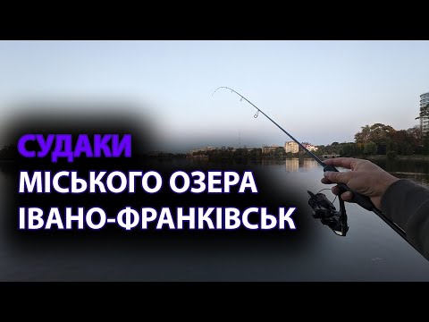 Видео: ПЕРШИЙ СУДАК В ЖИТТІ! Ловля судака на міському озері Івано-Франківська!