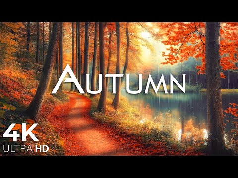 Видео: Очаровательные осенние леса под красивую фортепианную музыку🍁Осенняя атмосфера 4K