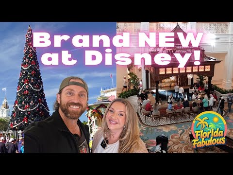 Видео: ПЕРВЫЙ ВЗГЛЯД: The Perch открывается в Grand Floridian! + Рождественские развлечения в Magic Kingdom