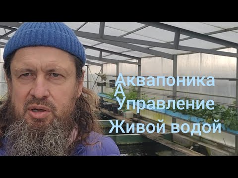 Видео: АКВАПОНИКА, управление живой водой☀️