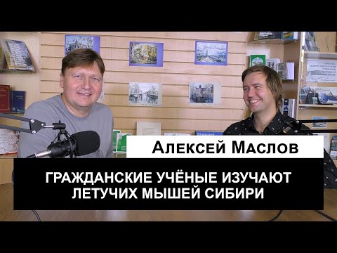 Видео: Гражданин натуралист: Алексей Маслов об изучении и поиске летучих мышей в Сибири
