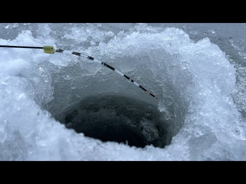 Видео: ОПУСТИЛ МОРМЫШКУ В ТУМАННУЮ ЛУНКУ И ЗАГНУЛО КИВОК! Простой способ наловить рыбы зимой! Рыбалка.