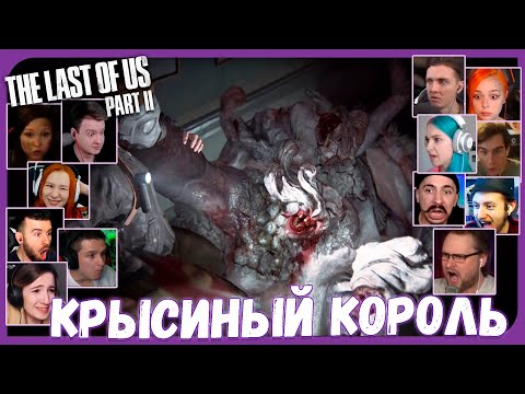 Видео: Реакции Летсплейщиков на Крысиного Короля из The Last of Us 2