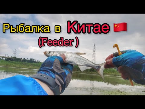 Видео: Рыбалка в Китае на Фидер! Рыбалка для души!