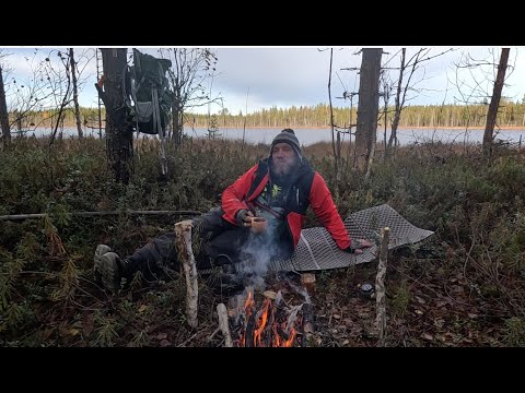 Видео: ЖИВУ В ЛЕСУ! ПОХОД НА РУЧЕЙ С СОБАКАМИ. ДАРЫ ПРИРОДЫ! Bushcraft.