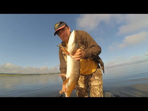 Видео: Ловим щуку, окуня и судака на Нижнекамском водохранилище.