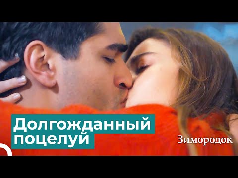 Видео: СЕЙРАН И ФЕРИТ ПОЦЕЛОВАЛИСЬ! | Зимородок 13 Cерия