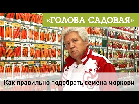 Видео: Голова садовая - Как правильно подобрать семена моркови под посадку