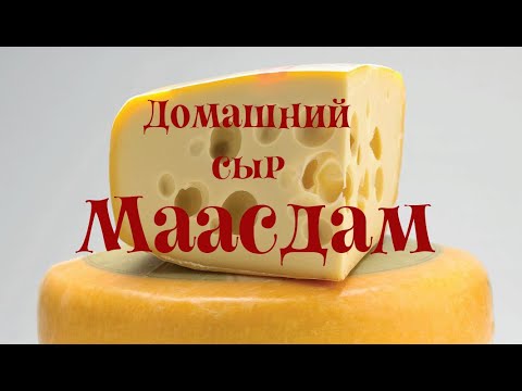 Видео: Сыр маасдам в домашних условиях | Maasdam Cheese 🧀