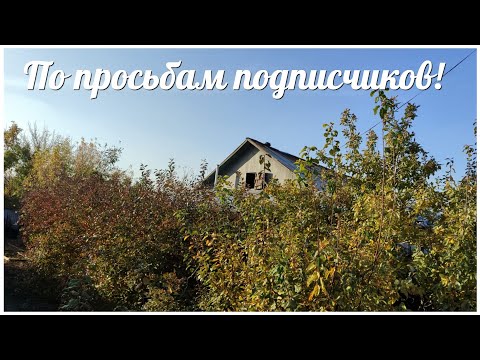 Видео: По просьбам подписчиков! (часть 1)