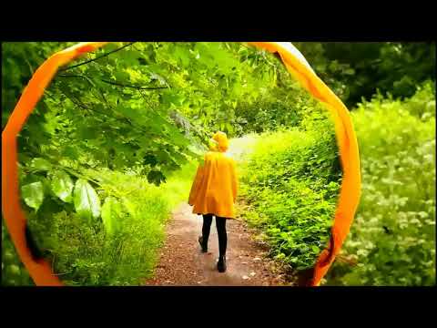 Видео: Кьеме Шанг Ринпоче _ Махамудра