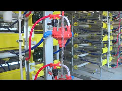 Видео: Что происходит на строительстве перепелиной фермы в Солигорском районе?