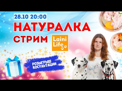 Видео: Натуральное питание - отвечаем на вопросы, + специальный гость и розыгрыш