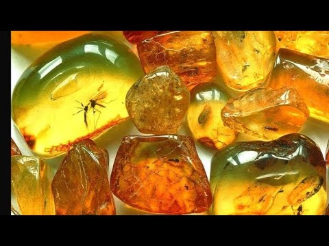 Видео: ЯНТАРНЫЕ СЛЁЗЫ ЭЛЕКТРЫ…ДЛЯ ВСЕХ…