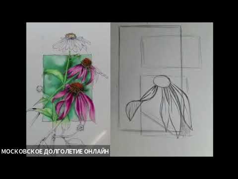 Видео: цветы 1 часть