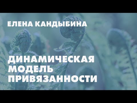 Видео: Введение в динамическую модель привязанности // Елена Кандыбина