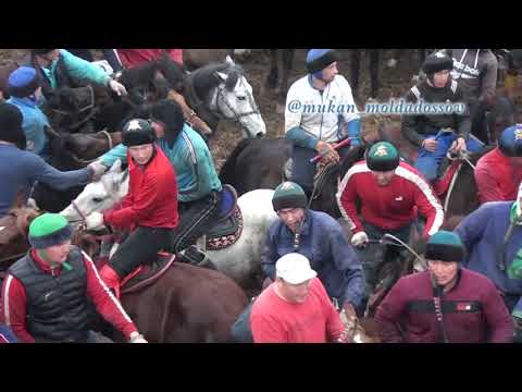 Видео: Ергали агамыздын бата алу кокпары Часть 2