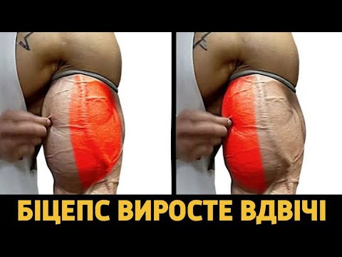 Видео: ТАК ЯК ТИ ТРЕНУВАВСЯ ЗРАНКУ НАВЕЧІР ВЖЕ НЕ ДІЄВО. ВСЯ ПРАВДА ПРО БІЦЕПСИ.
