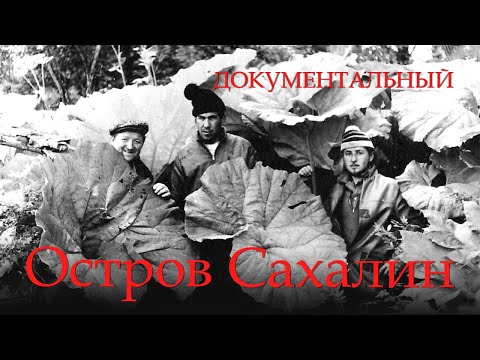 Видео: Остров Сахалин (1954) Фильм Эльдар Рязанов, Василий Катанян. Документальный