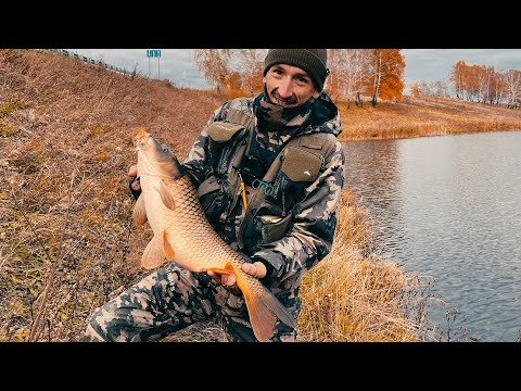 Видео: ШОК! САЗАН 3.6кг на УЛЬТРАЛАЙТ! Запомню ЭТО на всю жизнь! Поймал сазана на микроджиг!