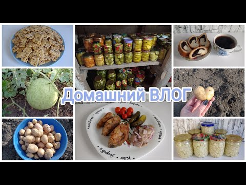 Видео: Домашний ВЛОГ. Прогулка по огороду. Обзор заготовок на зиму. Зерновой крекер 
