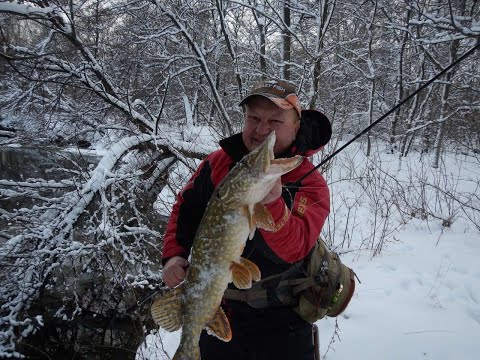 Видео: Ловля щуки зимой на спиннинг. Как выбрать приманку и цвет?